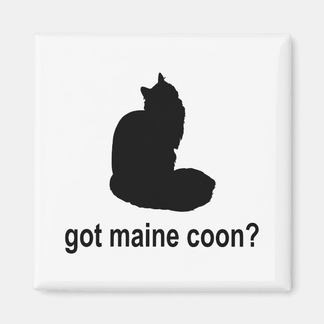 Íman Tem Maine Coon? (Frente)
