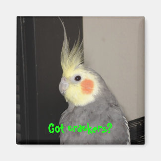 Íman Tem salgadinhos?