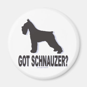 Íman Tem Schnauzer?