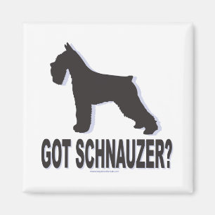 Íman Tem Schnauzer?