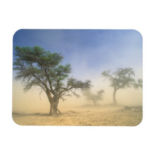 Íman Tempestade de areia no deserto do Kalahari, Kgalag