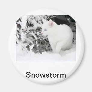 Íman Tempestade de neve