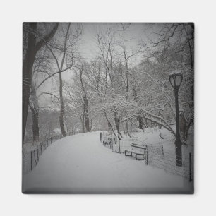 Íman Tempestade de neve, Central Park, Nova Iorque