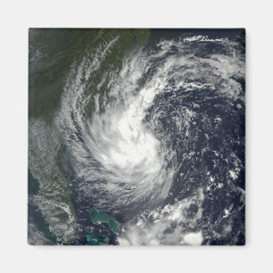 Íman Tempestade tropical Gustavo 2