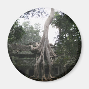 Íman Templo cambojano na selva