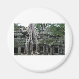 Íman templo do prohm de Ta em cambodia