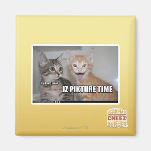 Íman tempo do pikture do iz