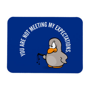 Íman Tempo para sua análise anual do desempenho do func