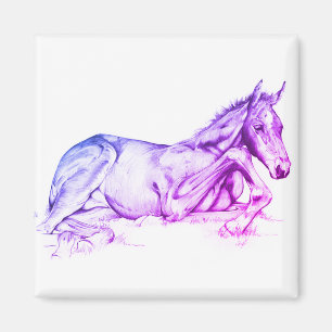 Íman Tempo Silencioso (roxo)