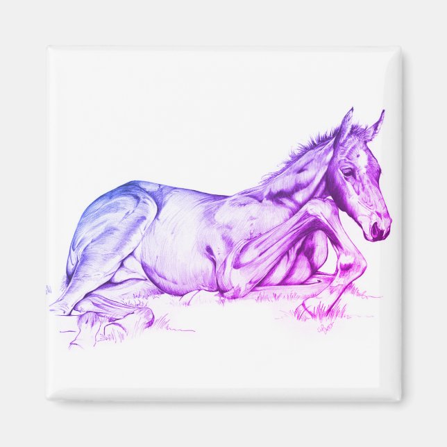 Íman Tempo Silencioso (roxo) (Frente)