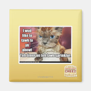 Íman Temporizador de Sprinklur do gramado