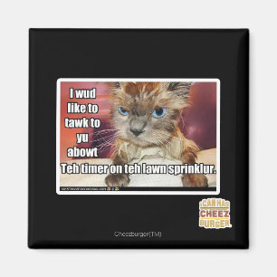 Íman Temporizador de Sprinklur do gramado