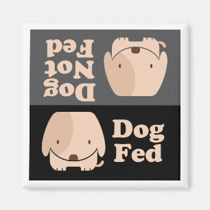 Íman Tempos da refeição de Fed do cão de Fed do cão