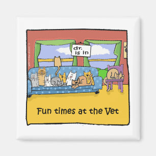 Íman Tempos do divertimento no veterinário