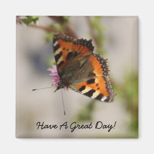 Íman Tenha um grande ímã do dia