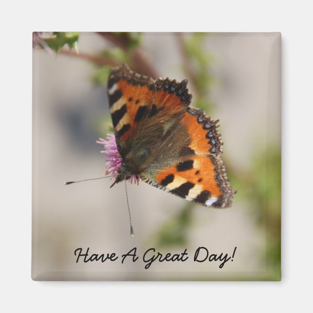 Íman Tenha Um Magneto De Excelente Dia (Frente)