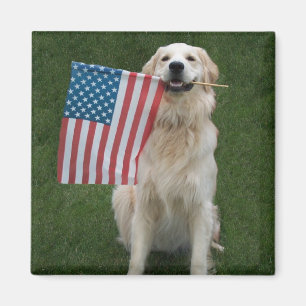 Íman Tenha uma celebração de "Ouro"