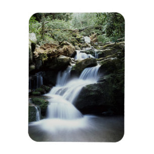 Íman Tennessee, Parque Nacional Great Smoky Mountains 3