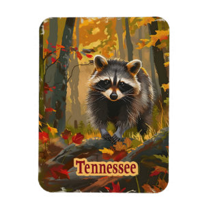 Íman Tennessee Raccoon