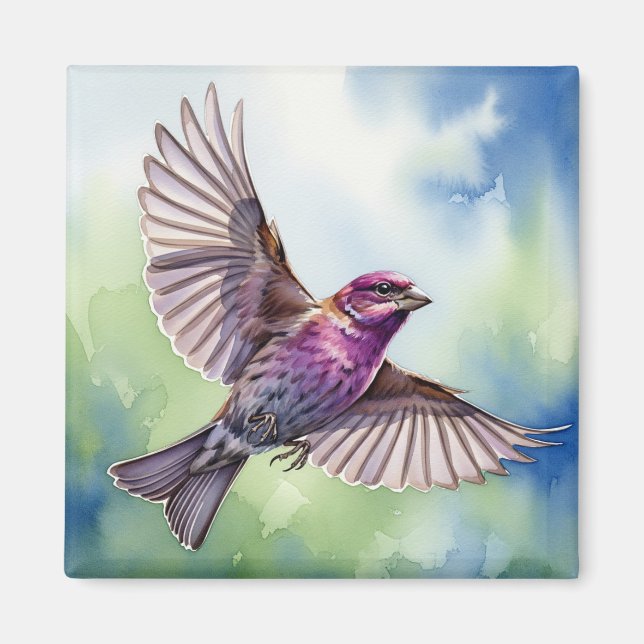 Íman Tentilhão Roxo em voo (Frente)