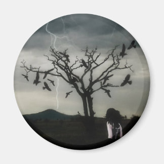 Íman Teoria do caos