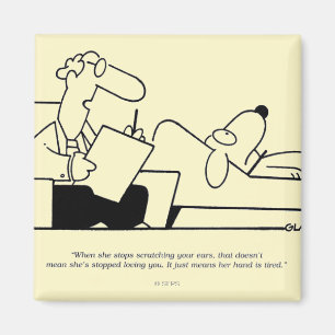 Íman Terapia do cão