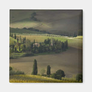 Íman Terra agrícola ao redor de Montepulciano, Toscana,