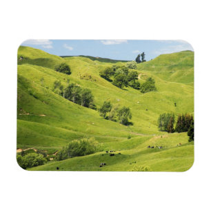Íman Terra agrícola perto de Gisborne, Nova Zelândia