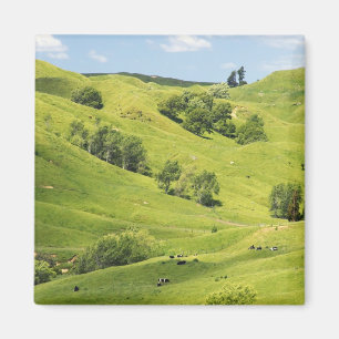 Íman Terra agrícola perto de Gisborne, Nova Zelândia
