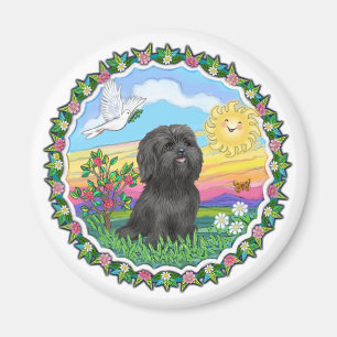 Íman Terra - Black Shih Tzu