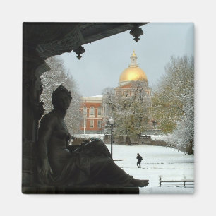 Íman Terra comum de Boston