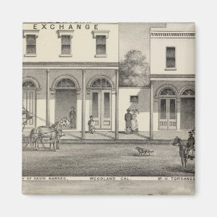 Íman Terra dos Edifícios, Yolo