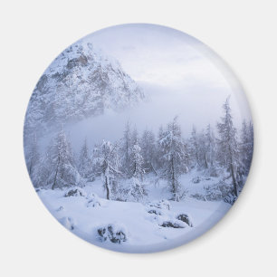 Íman Terra maravilhosa do inverno, nevoeiro, floresta d