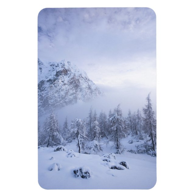 Íman Terra maravilhosa do inverno, nevoeiro, floresta d (Vertical)