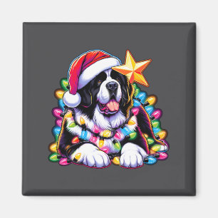 Íman Terra Natal Landseer Cão Terra Nova Enroscado Nata