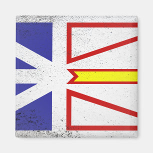 Íman Terra Nova e Labrador