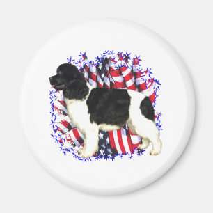 Íman Terra Nova (localizador) Patriot