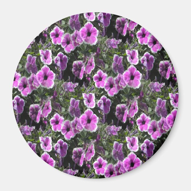 Íman Terra Petunia... (Frente)