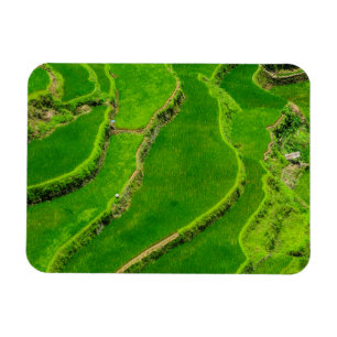 Íman Terraços de Arroz