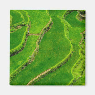 Íman Terraços de Arroz