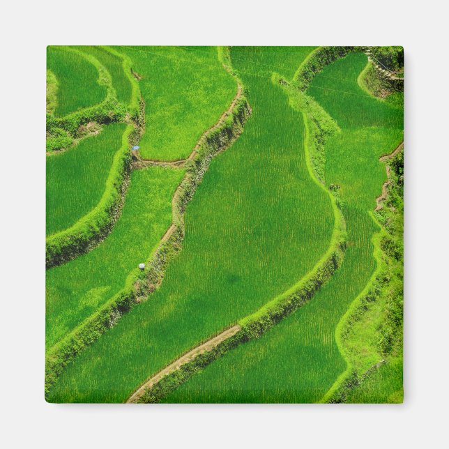 Íman Terraços de Arroz (Frente)