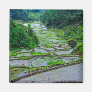 Íman Terraços de Arroz de Banaue, Luzon
