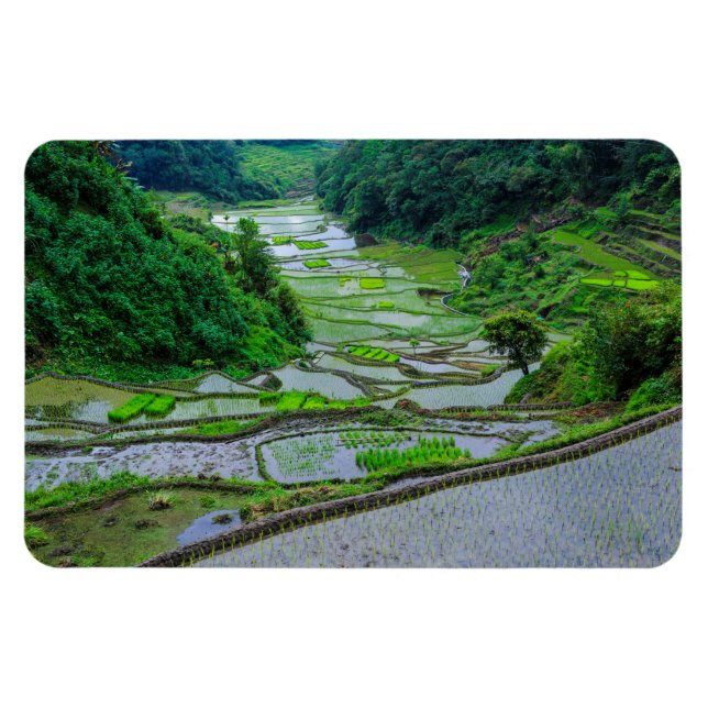 Íman Terraços de Arroz de Banaue, Luzon (Horizontal)