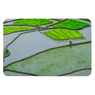 Íman Terraços de Arroz de Luzon