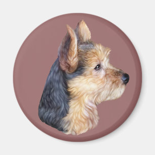 Íman Terrier australiano HS