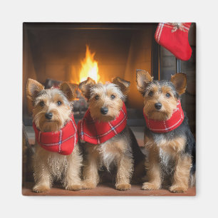 Íman Terrier Australiano junto à Lareira Natal