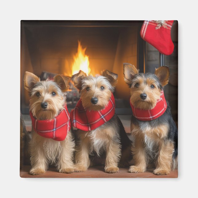 Íman Terrier Australiano junto à Lareira Natal (Frente)