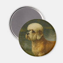 Terrier Dandi Dinmont