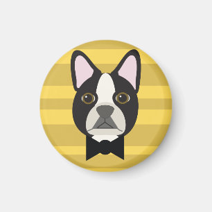 Íman Terrier de Boston