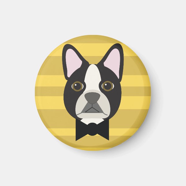 Íman Terrier de Boston (Frente)